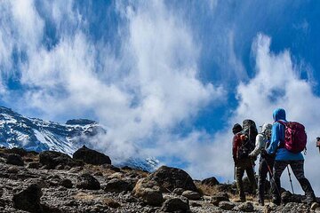 1 Day Mount Kenya National Park Hike Through Narumoro Route