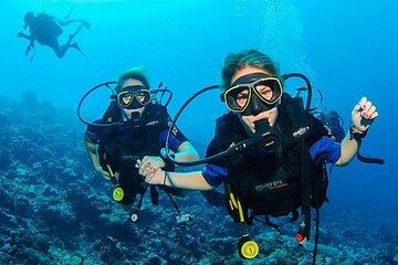 Discover Diving For Beginner Sea Trip & Lunch - Sharm El Sheikh