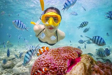Nemo Island Snorkeling Cruise with Lunch From Hurghada