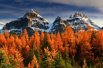 Larch Valley/Moraine Lake Shuttle Transfer from Banff and Canmore