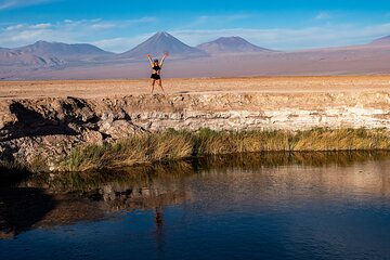 Cejar Eyes of the Salt Lake and Tebenquiche Lake Tour
