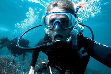 Full Day Diving for Beginners with Lunch in Hurghada