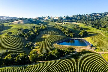 Private Enchanted Napa & Sonoma Wine Tour from Cupertino