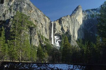 Private Full Day Yosemite National Park Tour from Cupertino