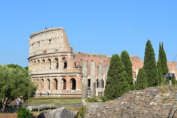 Colosseum and Mamertine Prison Guided Tour - Up To 6 People
