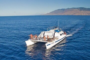 From Ma'alaea Harbor: Sunset Whale Watch Tour Aboard the Malolo