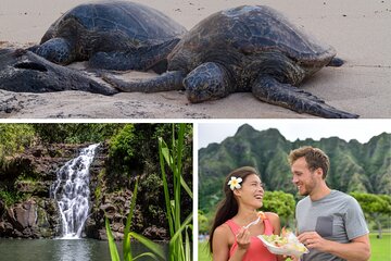 Grand Tour Around Oahu- Swim at Waterfall & Turtle Beach