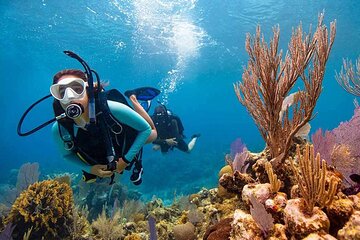 Private Oman Musandam Trip 