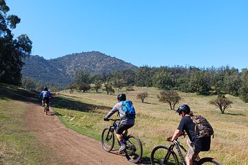 Mountain Bike Experience from Chile