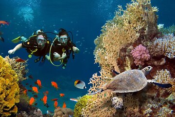 Intro Scuba Diving For Beginners With Lunch in Hurghada