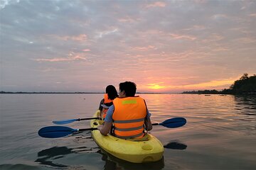 02 -Days: Bike, Boat & Kayak The Mekong Delta.