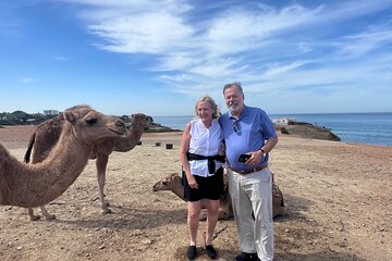 Gibraltar,Malaga ,Marbella to Tangier with ferry tickets & camels
