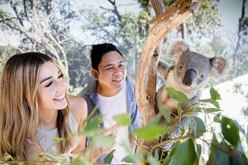 Sydney Zoo General Entry Admission Ticket