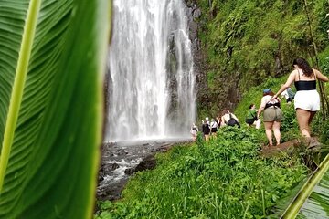 Materuni Waterfalls Hiking Tour with Coffee and Traditional Meal 