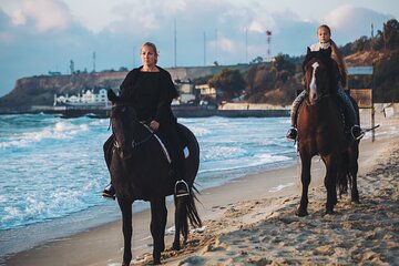 Camel or Horse riding Adventure in Nabq Bay - Sharm El Sheikh