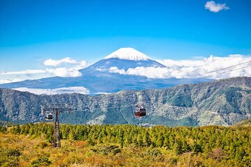 Mt Fuji and Hakone Private Day Tour