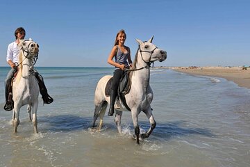 Experience the Sea and Desert on One Hour Horseback in Hurghada