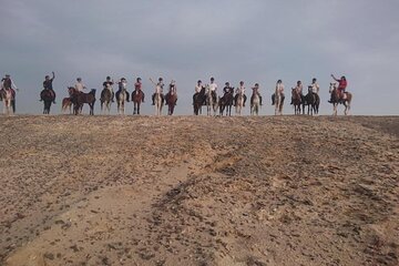 Sea and Desert Horse Riding Tour from Marsa Alam