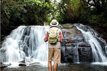 Sinharaja Rain Forest and Tea Factory Day Tour