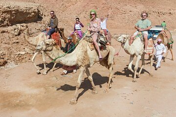 One-Hour Desert Camel Trek with Round-Trip Transfers - Hurghada
