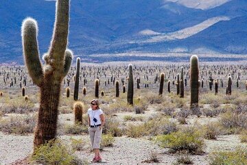 Tour to Cachi from Salta 
