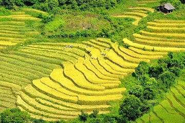 Private Full Day Sapa City Sightseeing Tour by Motorbike