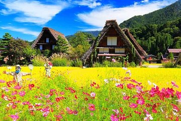 Tour to Hida Takayama and Shirakawa-go Gassho Village from Nagoya