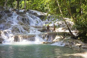 Dunns River Falls Tour from Montego Bay