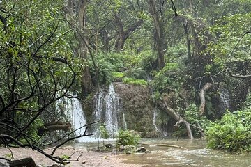 20 Days Oman Package with Salalah and Khasab Tour