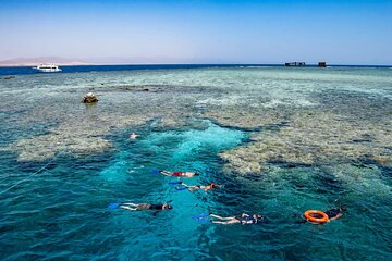 Tiran Island Snorkeling Trip W/Lunch & Transfer – Sharm El Sheikh
