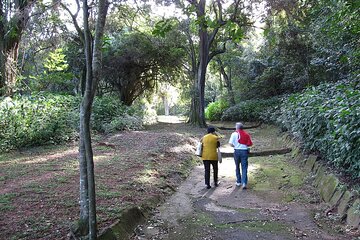 Durban Bird Watching Tour