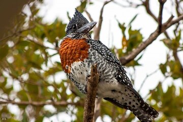 St. Lucia Bird Watching Tour from Durban