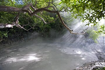 Private Tour Rincón de la Vieja Volcano and Oropendola Waterfall