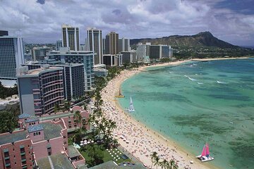 Round Trip Transfer Honolulu Airport to Downtown or Turtle Beach