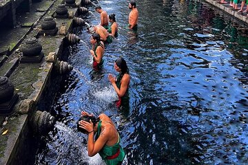 Ubud : Monkey Forest, Rice Terrace, Temples & Waterfall Tour