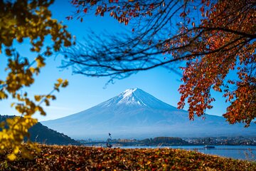  Mt. Fuji Tour by Car with a Multilingual Guide