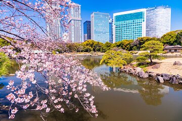 Guided Walking Tour in Hama Rikyu Gardens