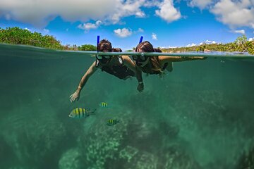 Magical Cenote and Paradise Lagoon Snorkeling Adventure