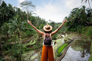 Private Ubud Day Tour Waterfalls Sacred Monkeys and Rice Fields