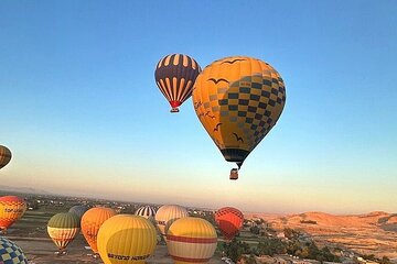 private VIP tour in Luxor east and west bank all in one day