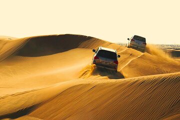 Half Day Safari Tour With Camel Ride and Sand Boarding in Doha