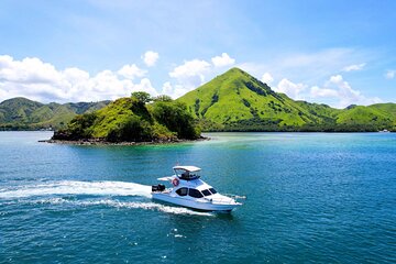 Dragons Komodo Island Day Tour from Bali 