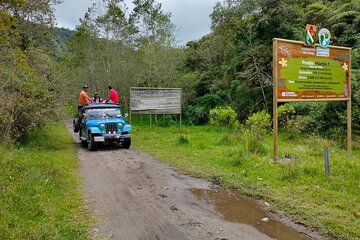 Machin Volcano Hill Tour from Salento