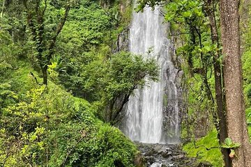 Materuni waterfall and coffee tour with hot spring day trip 