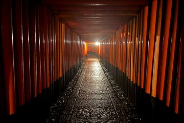 Moonlit Walk at Fushimi Inari Night Tour