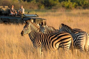 Half Day Private Safari Tala Game Reserve and Durban City Tour