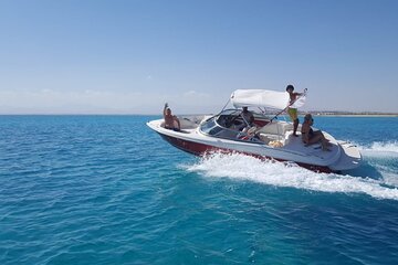 Private Speedboat Trip to Dolphin House & Riding Horse - Hurghada