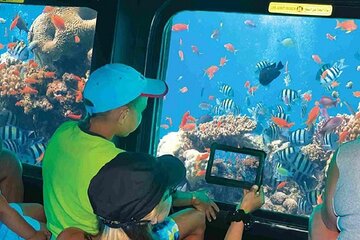 Semi Submarine Journey, Explore Underwater Wonders - Marsa Alam