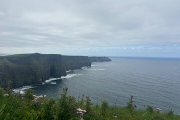 Emerald Isle Guided tour of the Cliffs of Moher & Galway 