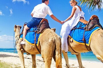 Camel Riding Experience in the Forest and River - Agadir